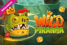 Wild Piranha
